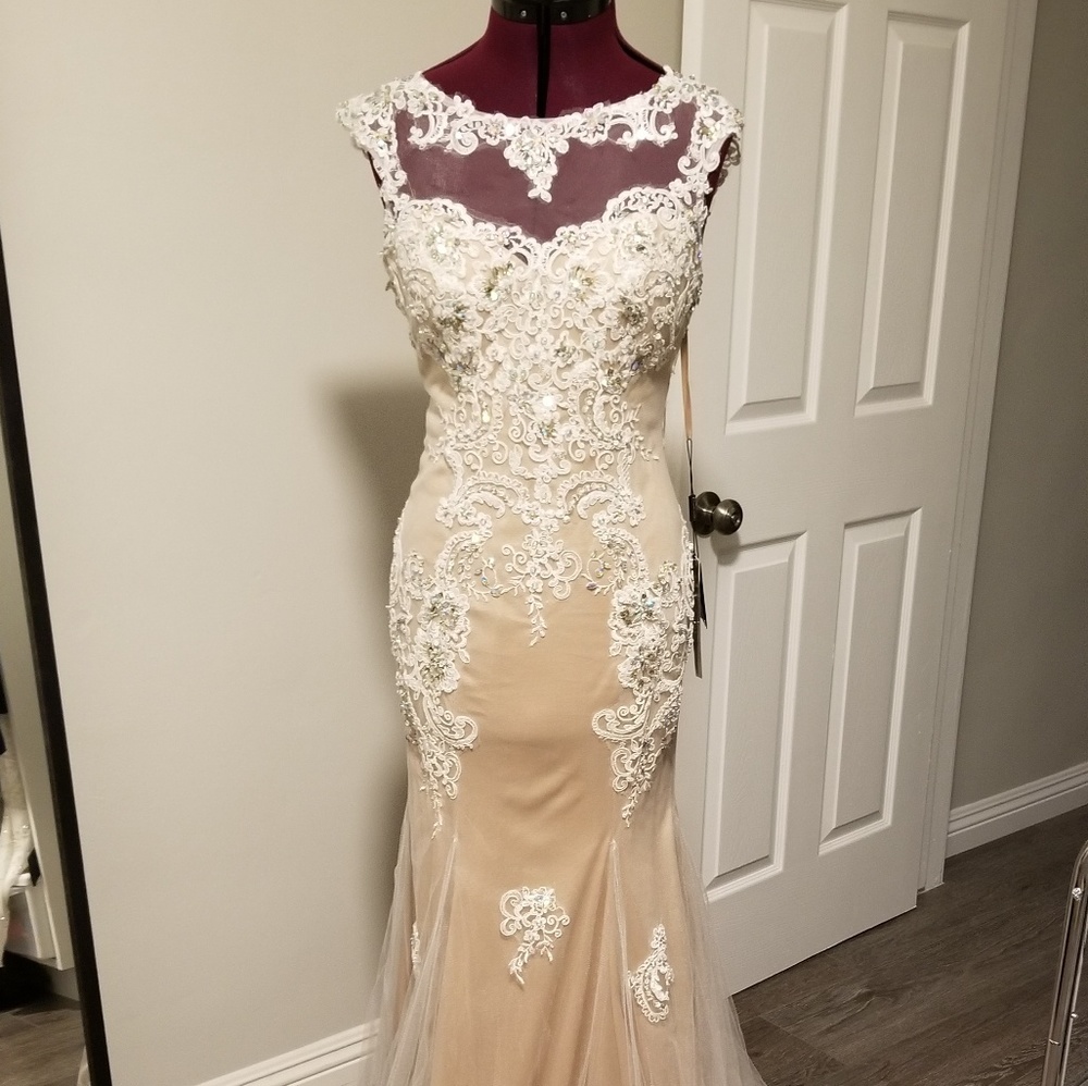 Evening gown, prom dress